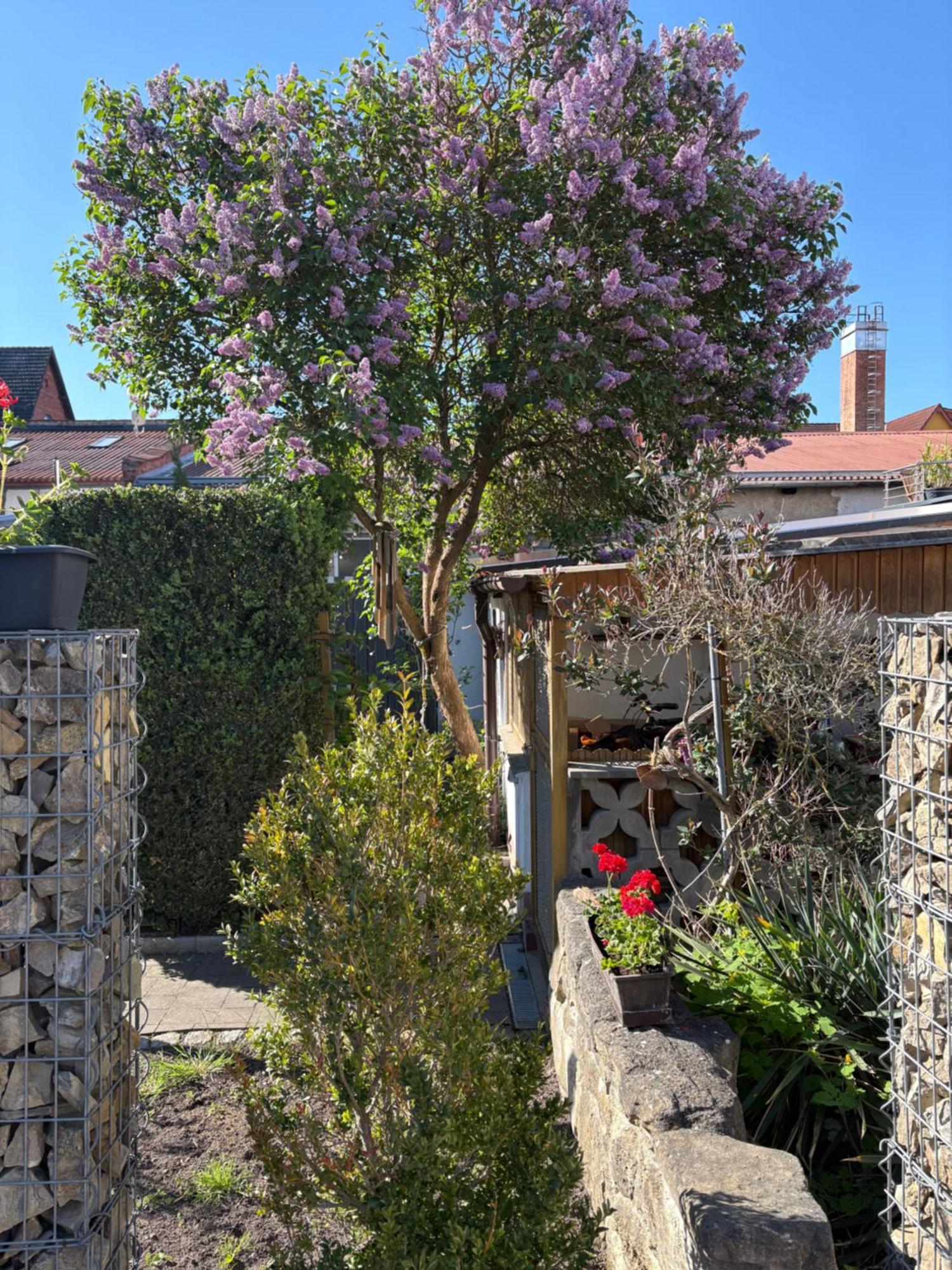 Haus Hannah Meiningen Dış mekan fotoğraf